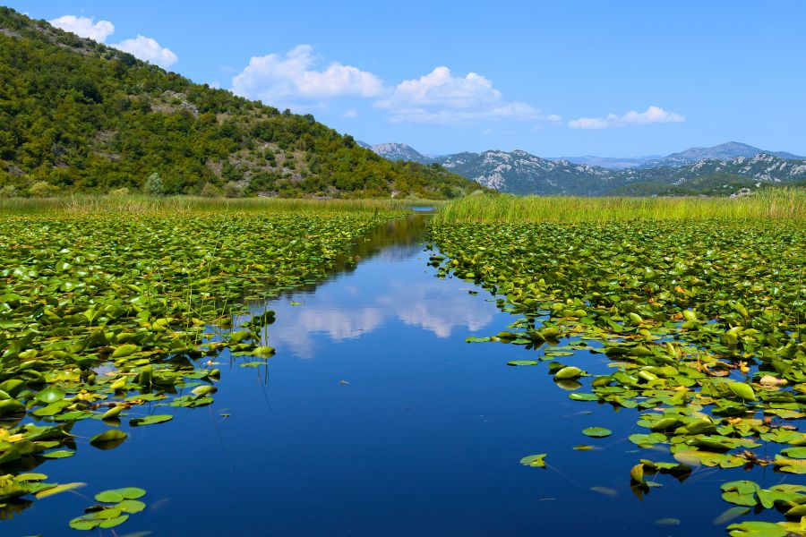 Top Scenic Drives in Montenegro Stunning Road Trips